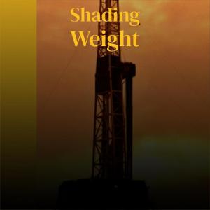 Various Artists的专辑Shading Weight