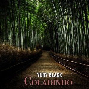 ดาวน์โหลดและฟังเพลง Coladinho พร้อมเนื้อเพลงจาก Yury Black