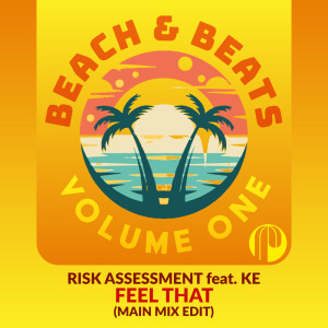 Risk Assessment的专辑Feel That