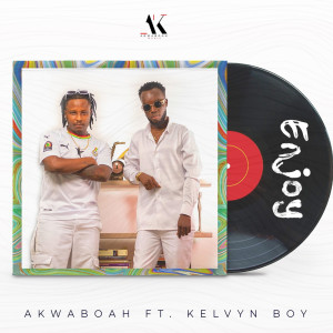 Listen to Enjoy song with lyrics from Akwaboah