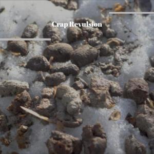 Dengarkan lagu Cunning nyanyian Pally Amad dengan lirik