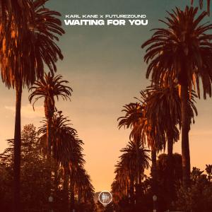Album Waiting For You oleh Futurezound