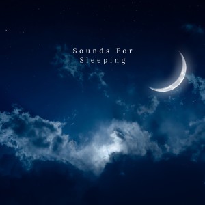 Album Sounds For Sleeping oleh Meditation Songs