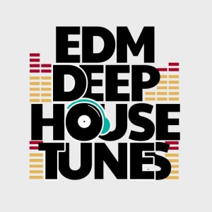 收聽EDM House Hits的What You're Gonna Do歌詞歌曲