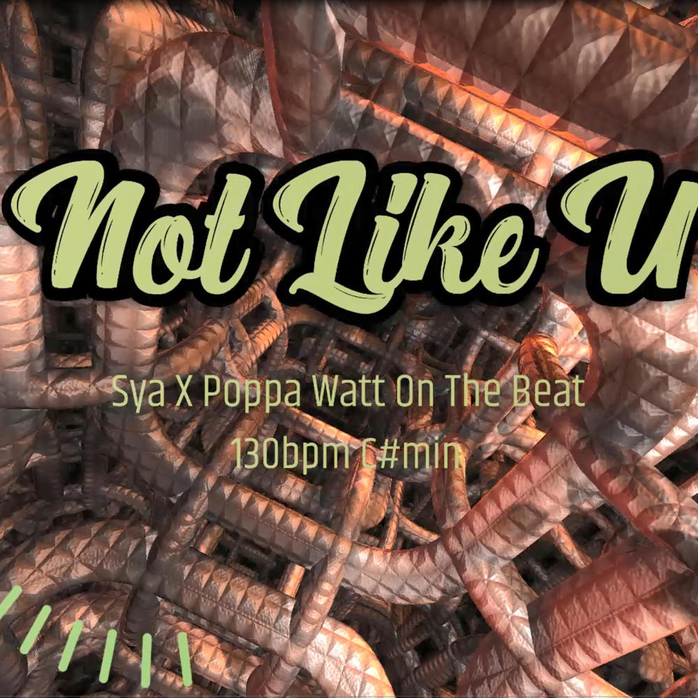 Not Like U (feat. Mosh Sya) (Explicit)