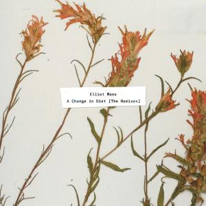 ดาวน์โหลดและฟังเพลง Bodyintoshapes (Elsa y Elmar Remix) พร้อมเนื้อเพลงจาก Elliot Moss