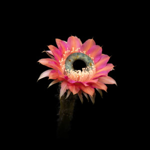 Listen to Up song with lyrics from Death Machine