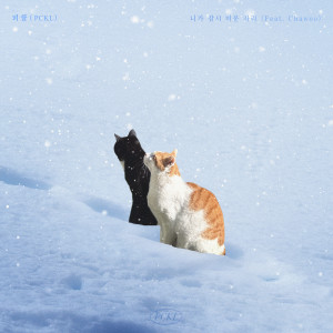 Listen to 니가 잠시 머문 자리 (Feat. 차우 (Chawoo)) (A Mark of Winter) song with lyrics from 피클 (PCKL)
