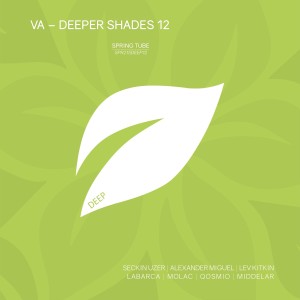 Album Deeper Shades 12 from Various Artists