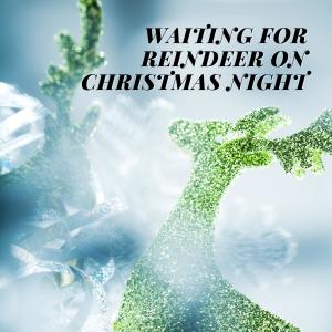 Waiting for Reindeer on Christmas Night