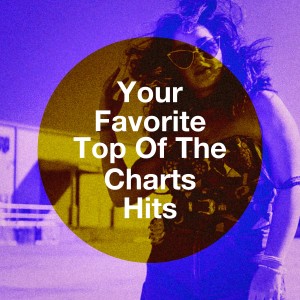 Album Your Favorite Top Of The Charts Hits from Chart Hits 2012