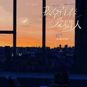 Album 我拿青春爱错人 from 小鬼阿秋