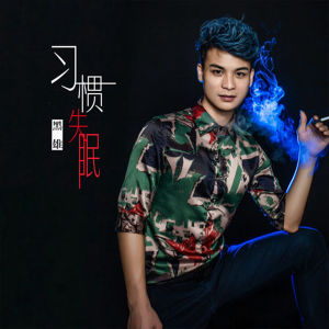 收聽黑雄的習慣失眠 (抖音DJ版)歌詞歌曲