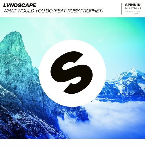 What Would You Do (feat. Ruby Prophet) [Extended Mix] (Extended Mix)