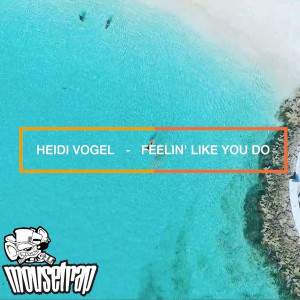 Heidi Vogel的專輯Feeling Like You Do