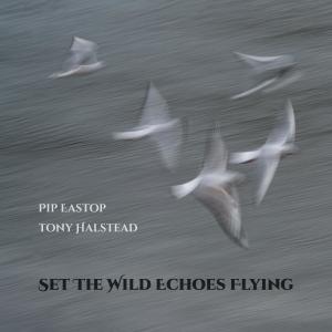 Anthony Halstead的專輯Set The Wild Echoes Flying