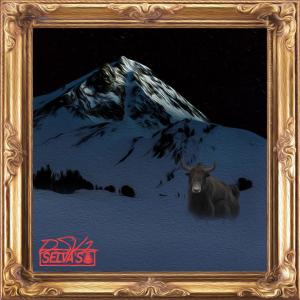 ดาวน์โหลดและฟังเพลง Sestö Blökkö (feat. Kuma19) (Explicit) พร้อมเนื้อเพลงจาก Ari Selva