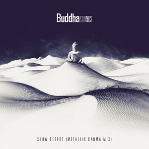 Buddha Sounds的專輯Snow Desert (Metallic Karma Mix)