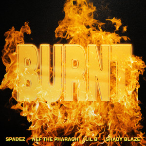 Album Burnt (Explicit) from Spadez