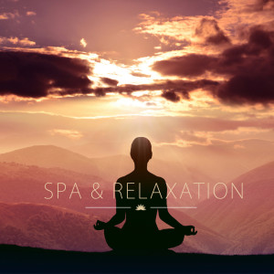 Estudar Música的专辑Spa & Relaxation