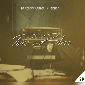 Brazo Wa Afrika的專輯Pure Bliss