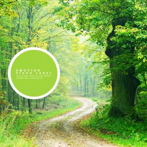 Album Meditation music collection with meditative music (meditation piano) oleh Various Artists