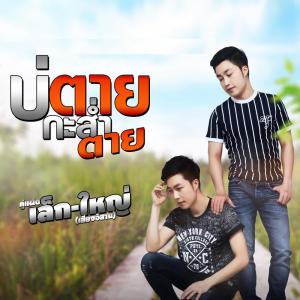 อัลบัม บ่ตายกะซำตาย ศิลปิน คู่แฝดเล็ก-ใหญ่เสียงอีสาน