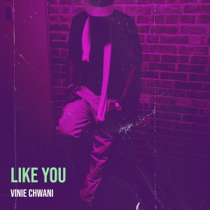 Album Like You from VINIE CHWANI