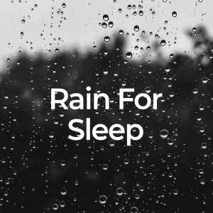 อัลบัม Rain for Sleep ศิลปิน Regen Sounds