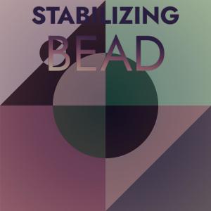 Listen to Earthshine Shoreline song with lyrics from Morne Ziming