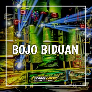 Album Bojo Biduan from Cadelleksu RMX