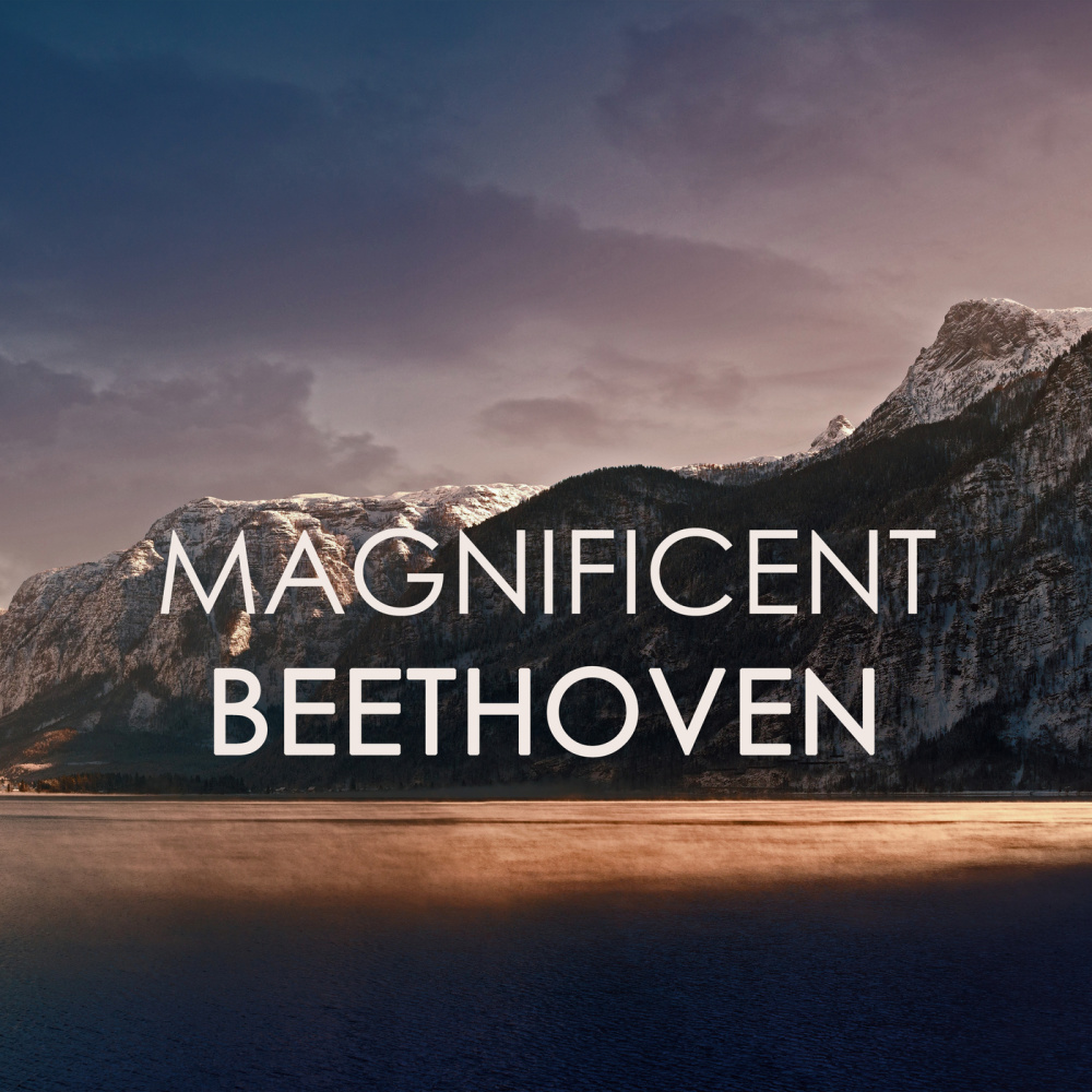 Beethoven: Piano Trio No. 4 in B-Flat Major, Op. 11 - III. Tema con Variazioni. Andante