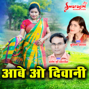 ดาวน์โหลดและฟังเพลง Aabe O Diwani พร้อมเนื้อเพลงจาก SANTOSH KURREY