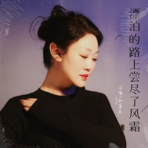 Album 漂泊的路上尝尽了风霜（DJ版） from 红蔷薇