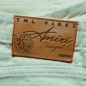 Tml Vibez的专辑Amiri (Trumpet)