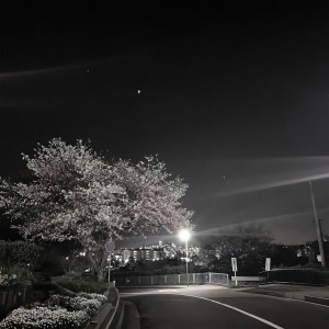 Listen to Нейротоксин song with lyrics from FADE031