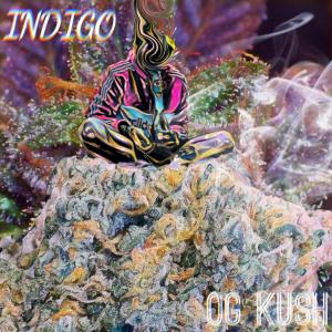 Listen to OG KUSH (Explicit) song with lyrics from X-Clusives