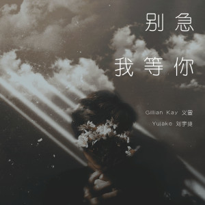 Listen to 别急我等你 song with lyrics from Gillian Kay