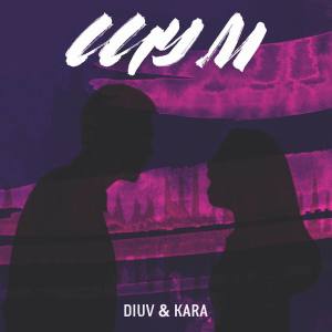 Listen to Шум song with lyrics from DiUv