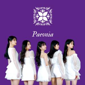 อัลบัม Paeonia ศิลปิน Busters