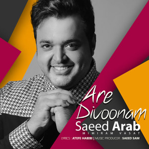 Listen to Are Divoonam song with lyrics from Saeed Arab