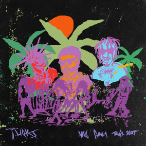 ดาวน์โหลดและฟังเพลง Turks พร้อมเนื้อเพลงจาก Nav