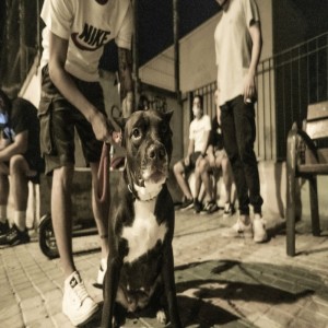 收聽Jelly G的Dogma Pragmático (Explicit)歌詞歌曲