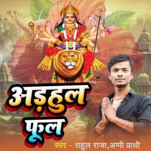 收听Rahul Raja的Adahul Phool歌词歌曲