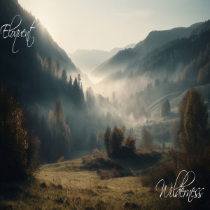 Album Wilderness from 