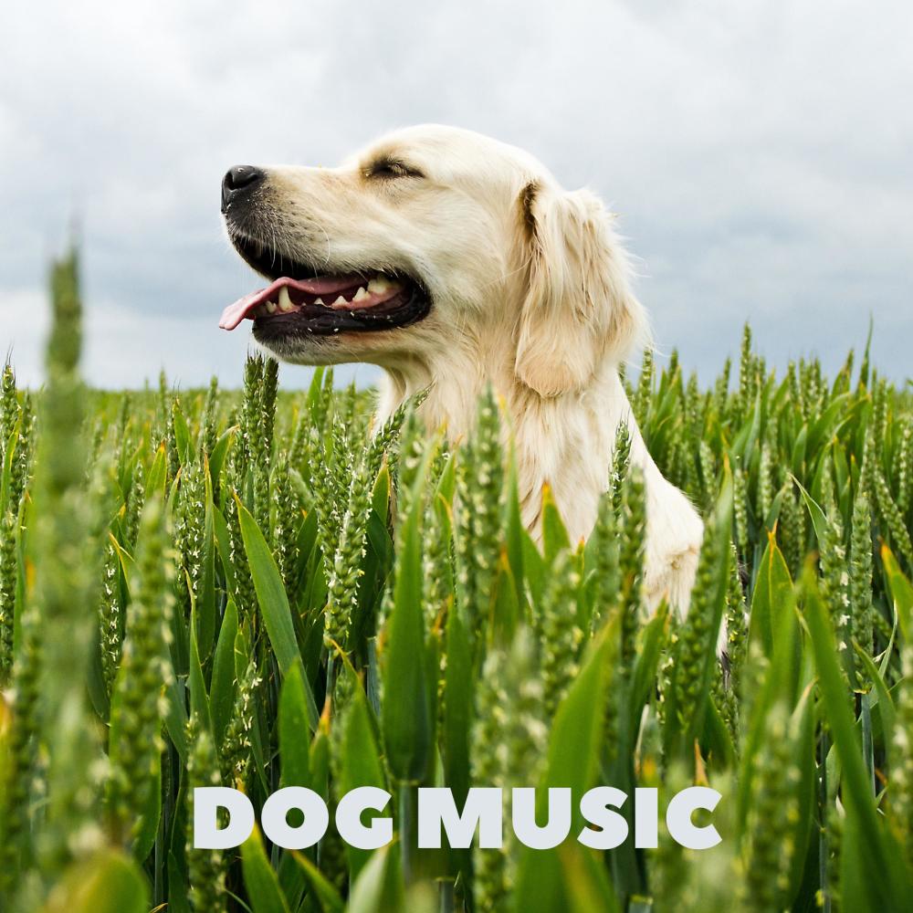 Music For Puppies