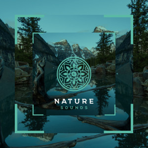 Natuurgeluiden的專輯Rustige Horizon