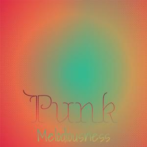 Various的专辑Punk Melodiousness