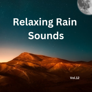 Relaxing Rain Sounds (Vol.12)