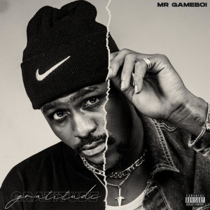 Listen to Gratitude (Explicit) song with lyrics from Mr Gameboi